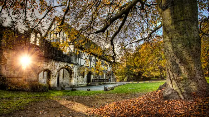 Museum Gardens