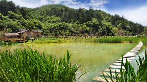 Mount Youran Alpine Wetlands Scenic Area, Qinling Mountains, Shaanxi Province