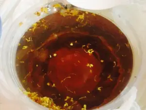 Dapaimaocai (fengchengguojizong)