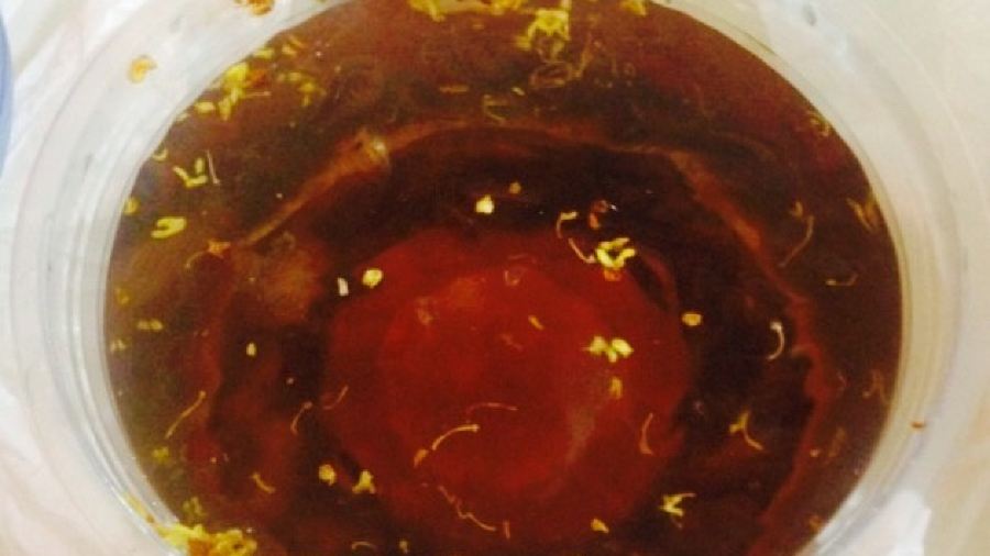 Dapaimaocai (fengchengguojizong)