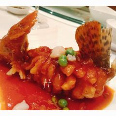 Plum Garden User Photo