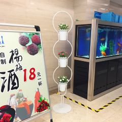 慈溪海天一洲观景酒店·海天食汇中餐厅 User Photo