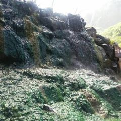 温泉鸡蛋小摊 User Photo