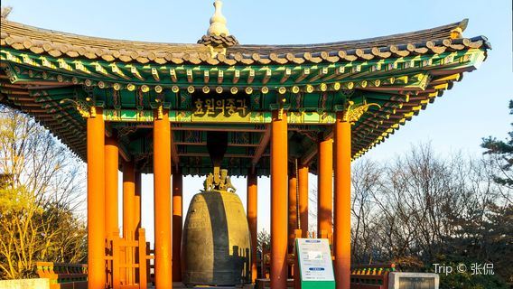 Suwon