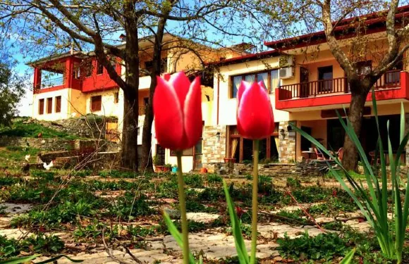 艾弗瑞迪基旅館