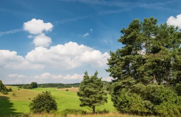 蘭達爾比姆布勞爾酒店