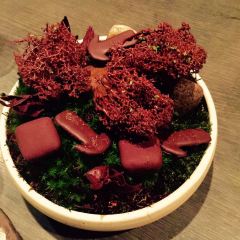 noma User Photo
