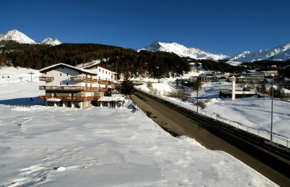 阿爾卑斯小木屋酒店