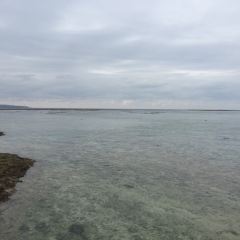 Inoh User Photo