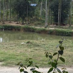 XINGLONG CHARACTERISTIC LEISURE FARM User Photo