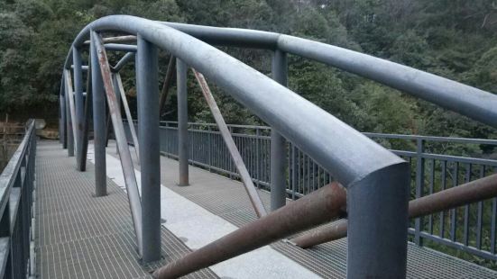 连心桥位于张家界国家森林公园袁家界景区内，是一座铁桥，前面是