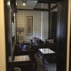 绍兴大禹开元观堂·禹家大院 User Photo