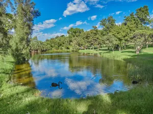 Kings Park and Botanic Garden