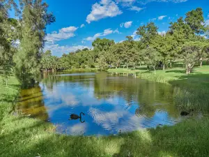 Fioriture Primaverili a Kings Park: le opzioni più popolari