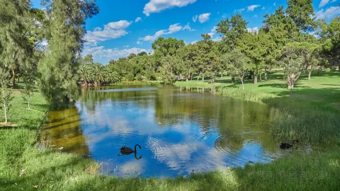Kings Park and Botanic Garden attraction in Perth