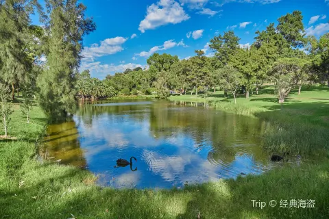Kings Park and Botanic Garden