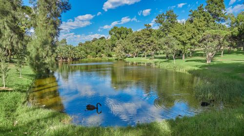 Kings Park and Botanic Garden