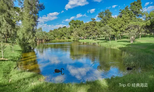 Kings Park and Botanic Garden