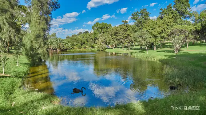 3_Kings Park and Botanic Garden