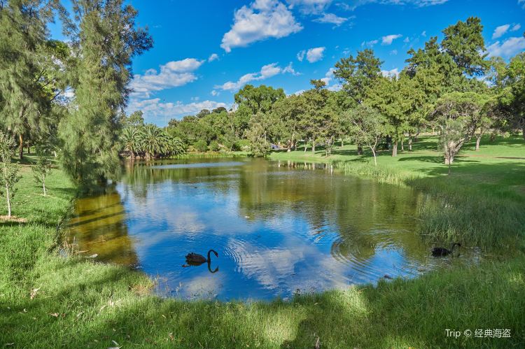 Kings Park and Botanic Garden