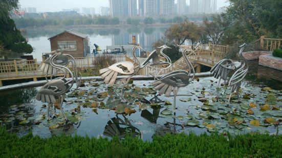 沒想到這個地方這麼好，小橋流水、濕地公園，風景優美，空氣清清