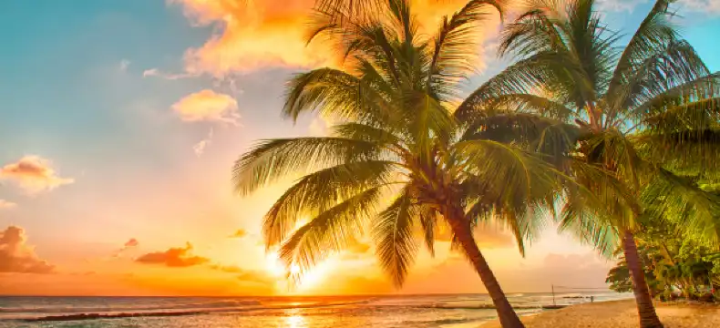 바베이도스 소재 홈스테이