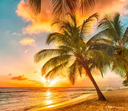 巴貝多酒店式公寓