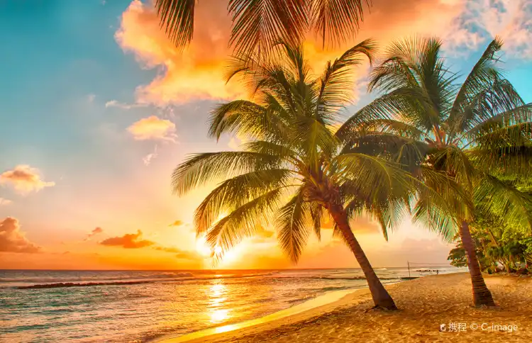 Hotels With Wi-Fi in Barbados
