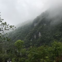 张家界禾田居度假酒店·-5味坊中餐厅 User Photo