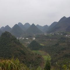 鄒記雞肉湯圓（富康店）張用戶圖片