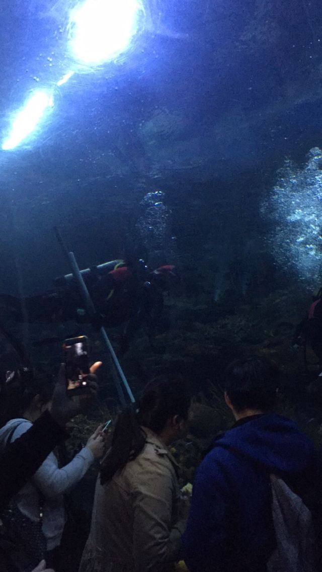Changfeng Ocean World