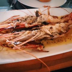 Gandolfi Fish 여행 사진