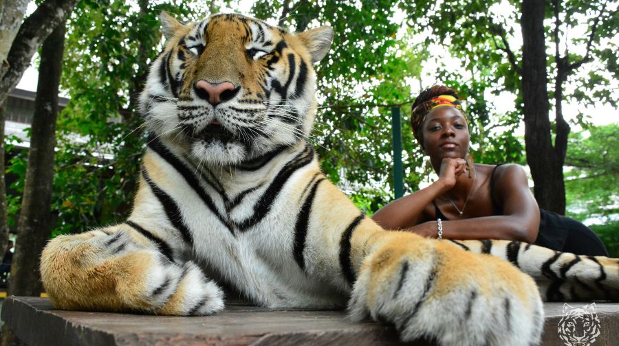 普吉ATV越野+騎象體驗：神仙半島美景與拉崴海鮮市場探索之旅