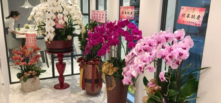 Lady M Cake Boutique(台灣旗艦店)