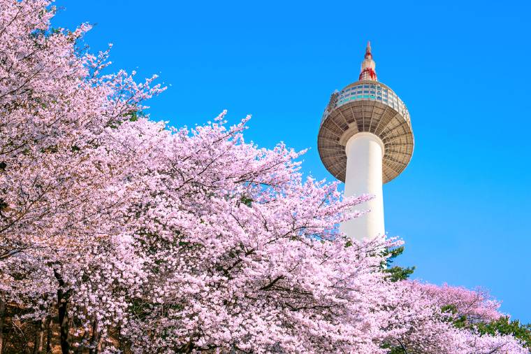 Best Time to Visit N Seoul Tower