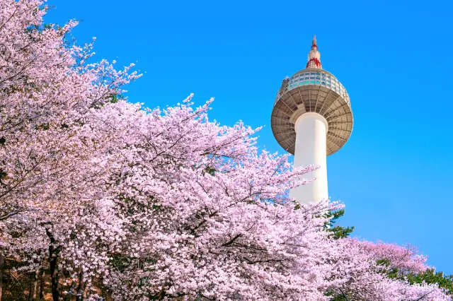 Korean Drama Filming Locations Tour in South Korea