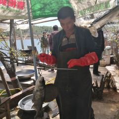 LAO ZI HAO DAN LONG SHUI KU SHENG TAI YU GU User Photo