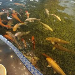 无锡市夏联福记大酒店 User Photo