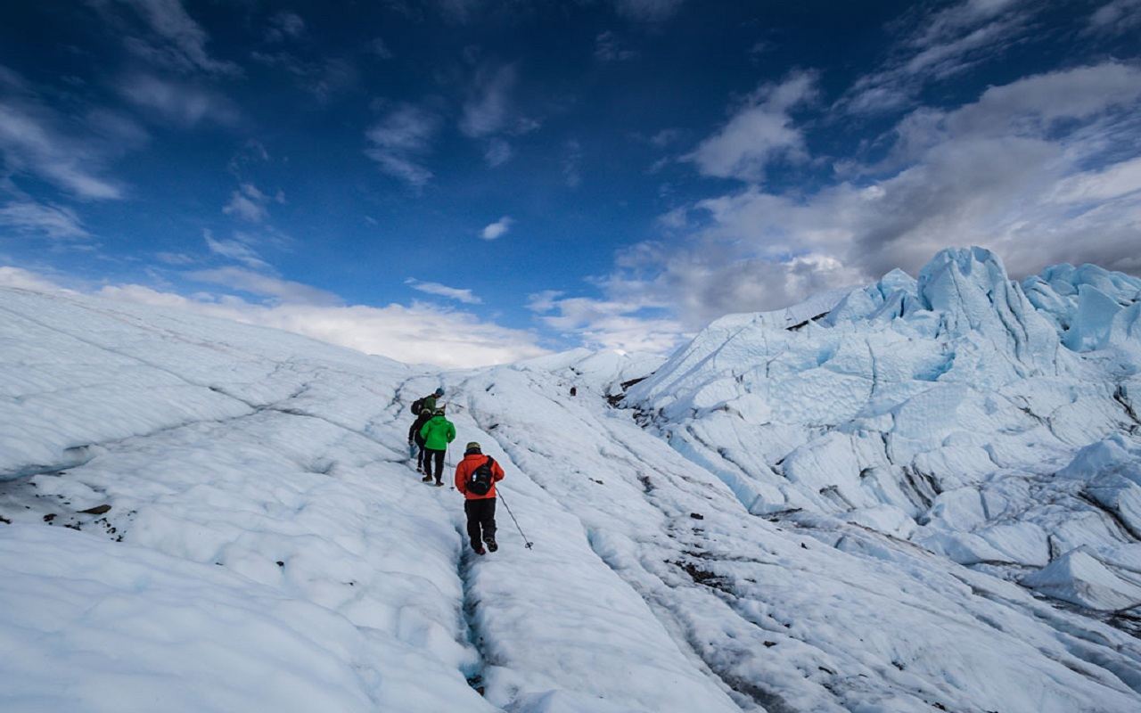 Excursión de un día de senderismo en Denali, Alaska (incluye entrada)|Proporciona casco y crampones
