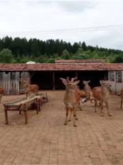 長白山特産生態博物館