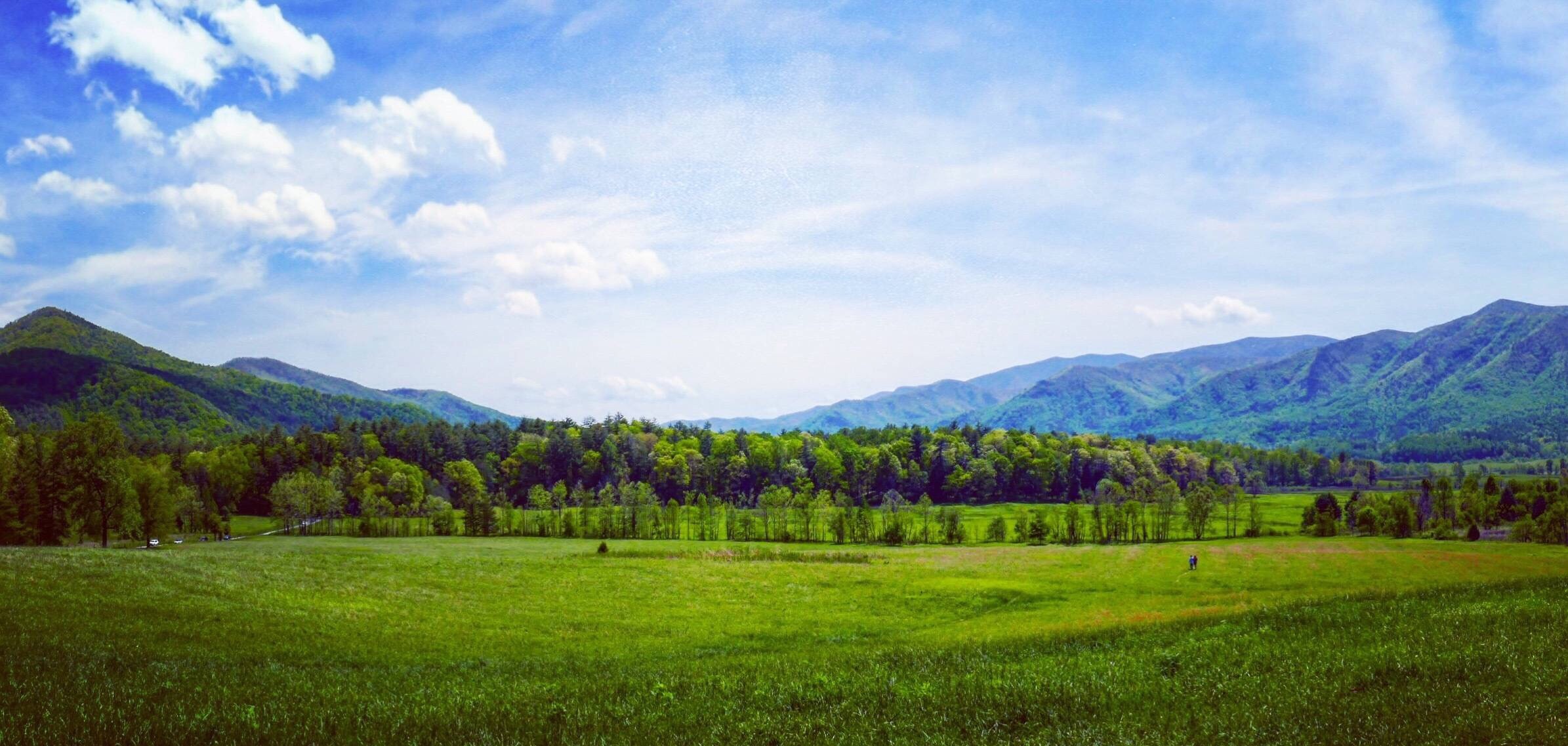 グレート スモーキー山脈国立公園のレビュー グレート スモーキー山脈国立公園のチケット グレート スモーキー山脈国立公園の割引 グレート スモーキー山脈国立公園の交通機関 所在地 営業時間 グレート スモーキー山脈国立公園周辺の観光スポット ホテル グレート スモーキー山脈国立公園のレビュー グレート スモーキー山脈国立公園のチケット グレート スモーキー山脈国立公園の割引 グレート スモーキー山脈国立公園の交通機関 所在地 営業時間 グレート スモーキー山脈国立公園周辺の観光スポット ホテル