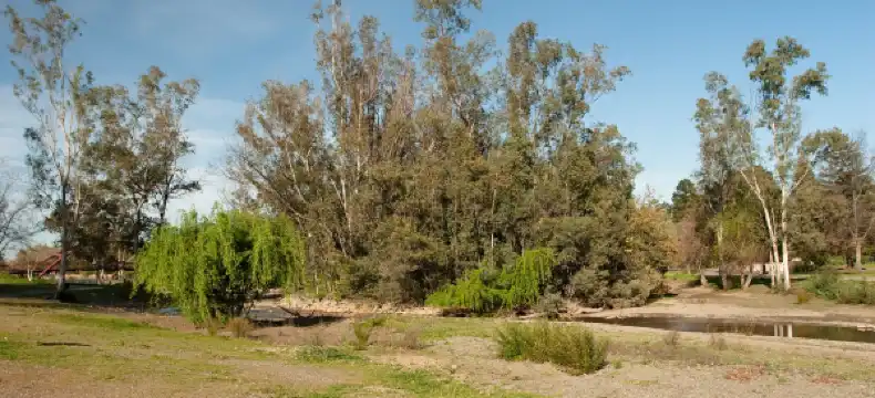 キャンベルのホテル