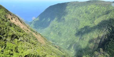 卡勞帕帕國家歷史公園