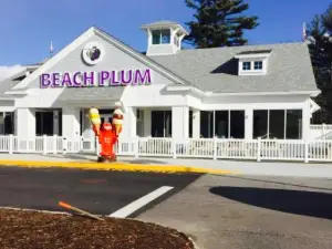 The Beach Plum