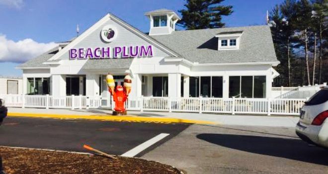 The Beach Plum
