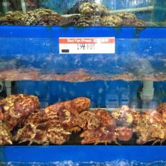 Seafood House Restaurant User Photo