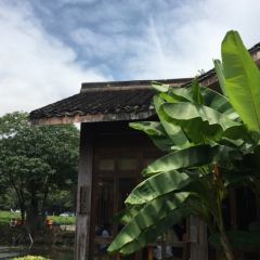 Green Tea User Photo