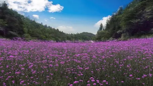 Huaqiangu Ecology Tourism Sceneic Area