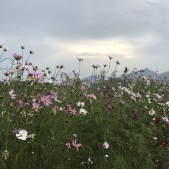 龙门山庄 User Photo