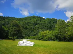 아르떼 피앗차 비바이